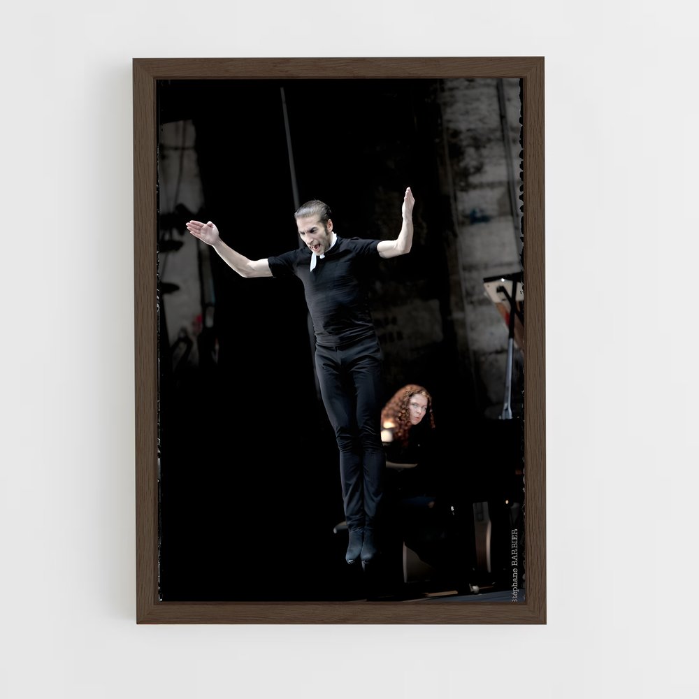 Poster La Scène Éblouissante – affiche Danse (vue 5)